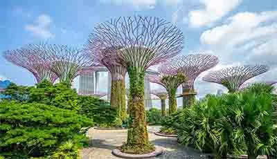 https://d1i3enf1i5tb1f.cloudfront.net/Tour-Images/false-4684/garden-by-thebay.jpg