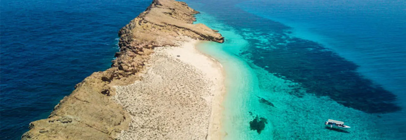 https://d1i3enf1i5tb1f.cloudfront.net/Tour-Images/false-508097/damaniyat-islands-by-catamaran.jpg