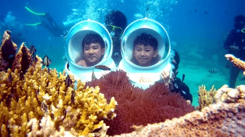 Seawalking Experience At Hon Roi (Hotel Transfer Inclusive)