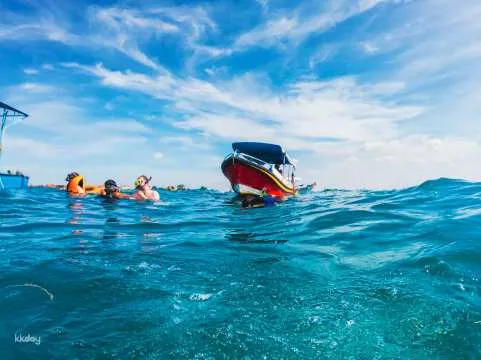 Bali Hidden Mangrove Forest Tour with Snorkeling Experience | Indonesia