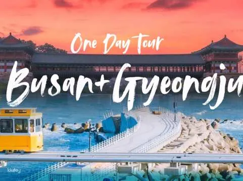 Busan+Gyeongju One Day Tour｜Busan Gamcheon+Sky Capsule+Gyeongju Famous Tourist Spot (Depart from Busan)