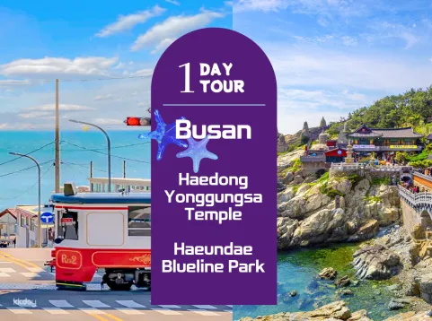 Haedong Yonggung Temple and Haeundae Beach Train + Dongbaek Park (Nurimaru APEC House) Half-Day Tour (Morning／Japanese speaking guide)